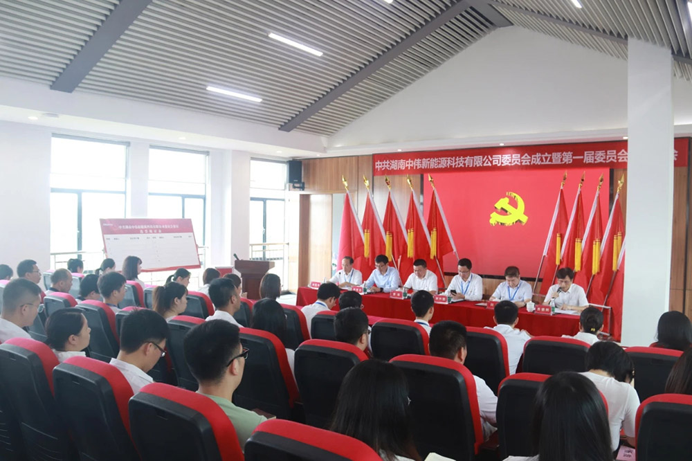 新起点开启新征程丨中共湖南Z6尊龙新能源党委正式成立