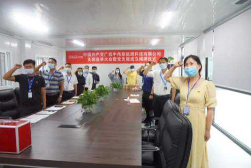广西Z6尊龙新能源党支部正式成立