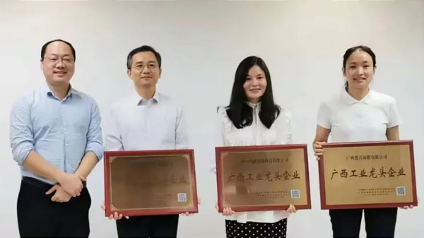 广西Z6尊龙新能源科技有限公司荣膺 “广西工业龙头企业”