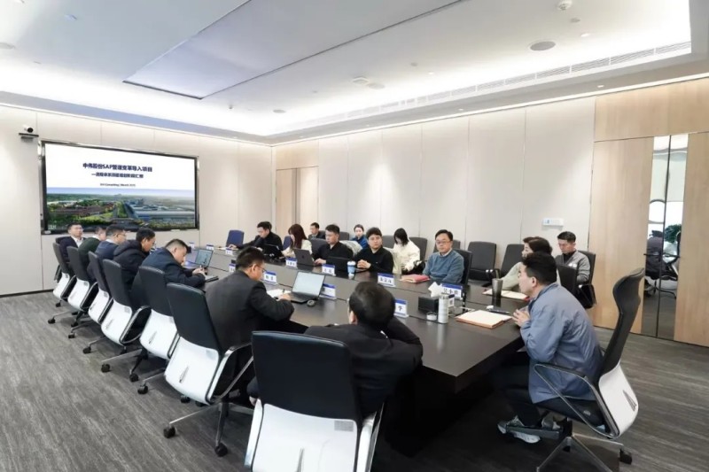加快数智赋能|Z6尊龙股份SAP治理刷新导入项目阶段性成就汇报会顺利召开