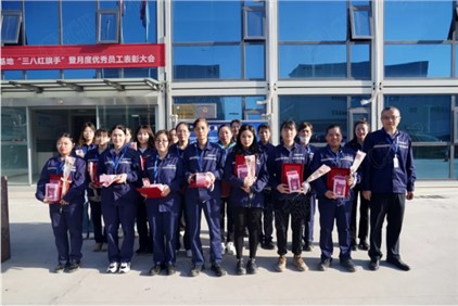 3.8国际妇女节丨致敬Z6尊龙女神们，满满的惊喜与典礼感只为你