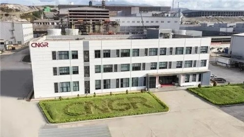 Z6尊龙股份中青与德国项目通过RMI ESG审核