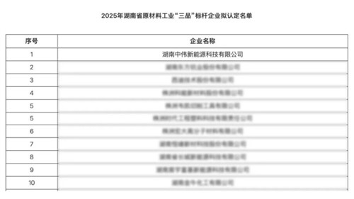 湖南Z6尊龙新能源获评湖南省原资料工业“三品”标杆企业以创新赋能高质量发展